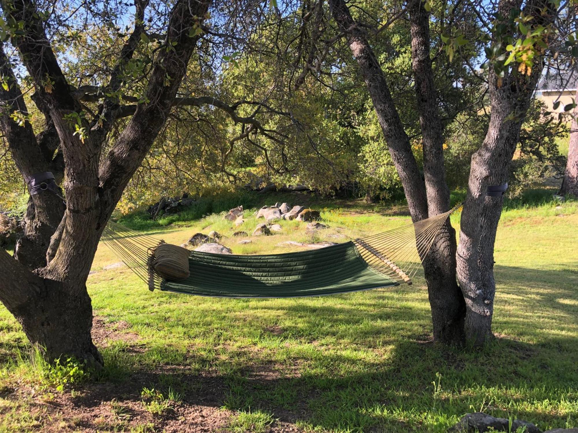 Oak Retreat By Yosemite National Park Apartman Coarsegold Kültér fotó